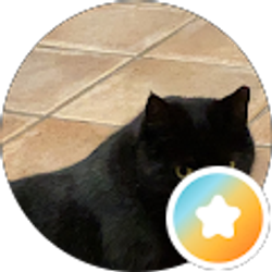 Profile photo of Marsha K