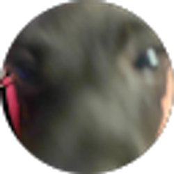 Profile photo of Lizloganlanden Lines