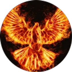 Profile photo of Kathy Healer