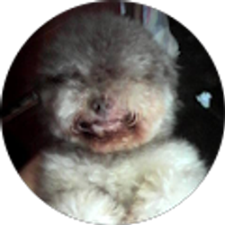 Profile photo of ANA KARINA VELASQUEZ