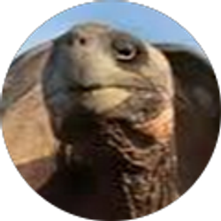 Profile photo of Stewart Floyd