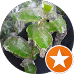 Profile photo of Blanca Palacios