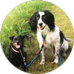 Profile photo of Anne Eddy