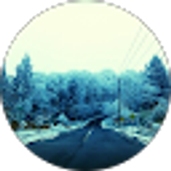 Profile photo of Rigo Aranda