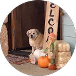 Profile photo of Av Lopez