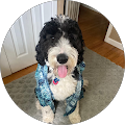 Profile photo of Aidan Morgan