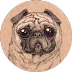 Profile photo of Cat