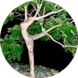 Profile photo of amber