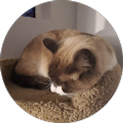 Profile photo of Damien Hart