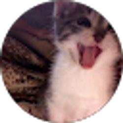 Profile photo of ash