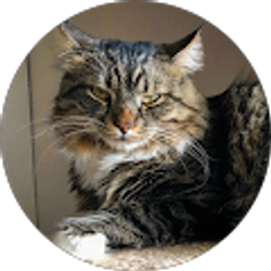 Profile photo of John Waclo