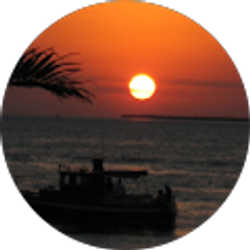 Profile photo of Bonnie Garo