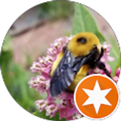 Profile photo of Shannon Lackey