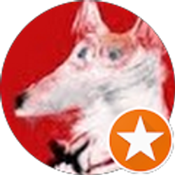 Profile photo of Brandi B