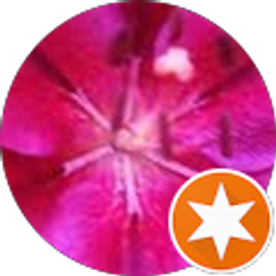 Profile photo of Connie VanSteenburg