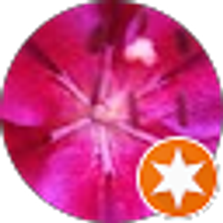 Profile photo of Connie VanSteenburg