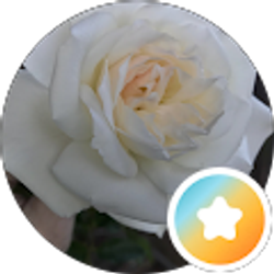 Profile photo of Jan Blomberg