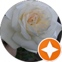 Profile photo of Jan Blomberg