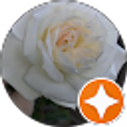 Profile photo of Jan Blomberg