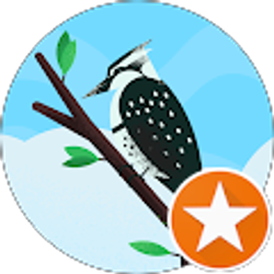 Profile photo of CHERIAN PALACKEL