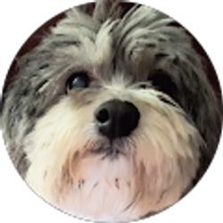 Profile photo of Tim Brown