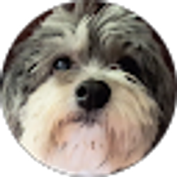 Profile photo of Tim Brown