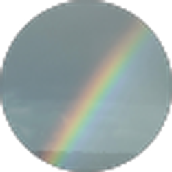 Profile photo of Mr.G521