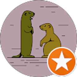 Profile photo of brenda shores