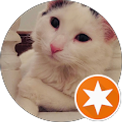 Profile photo of Serena Chin