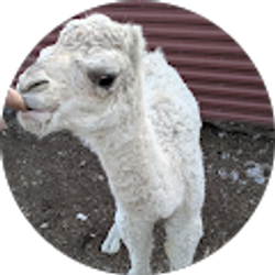 Profile photo of Hazel Stafford