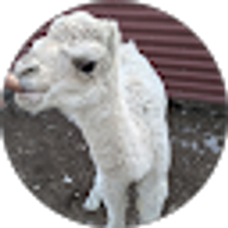 Profile photo of Hazel Stafford