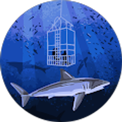 Profile photo of Steven