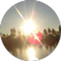 Profile photo of Austin McIntire