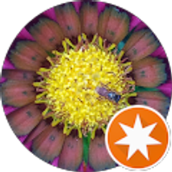 Profile photo of Marcela Uzcanga Fox