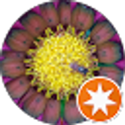 Profile photo of Marcela Uzcanga Fox