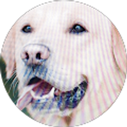 Profile photo of Jacquelyn Clemmer