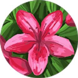 Profile photo of Perla V
