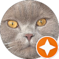 Profile photo of Noneya Bidness