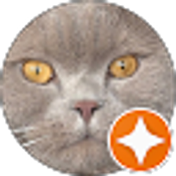 Profile photo of Noneya Bidness