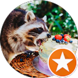 Profile photo of Andy Riet