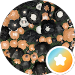 Profile photo of Candi Coated Secrets