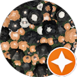 Profile photo of Candi Coated Secrets