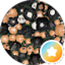 Profile photo of Candi Coated Secrets