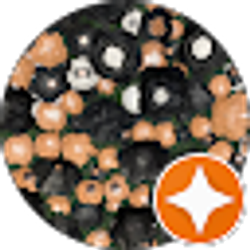 Profile photo of Candi Coated Secrets