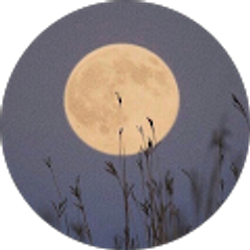 Profile photo of jada malone