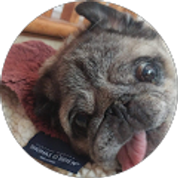 Profile photo of luke kleindl