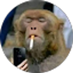 Profile photo of Adam Nottingham