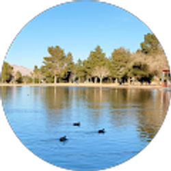 Profile photo of Evan Tamashiro