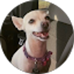 Profile photo of Elfida Esparza