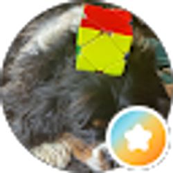 Profile photo of Austin Hendrickson